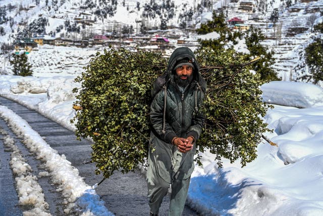 <p>A man carries firewood as he walks down a snow laden road in Kalam on 4 March 2024</p>