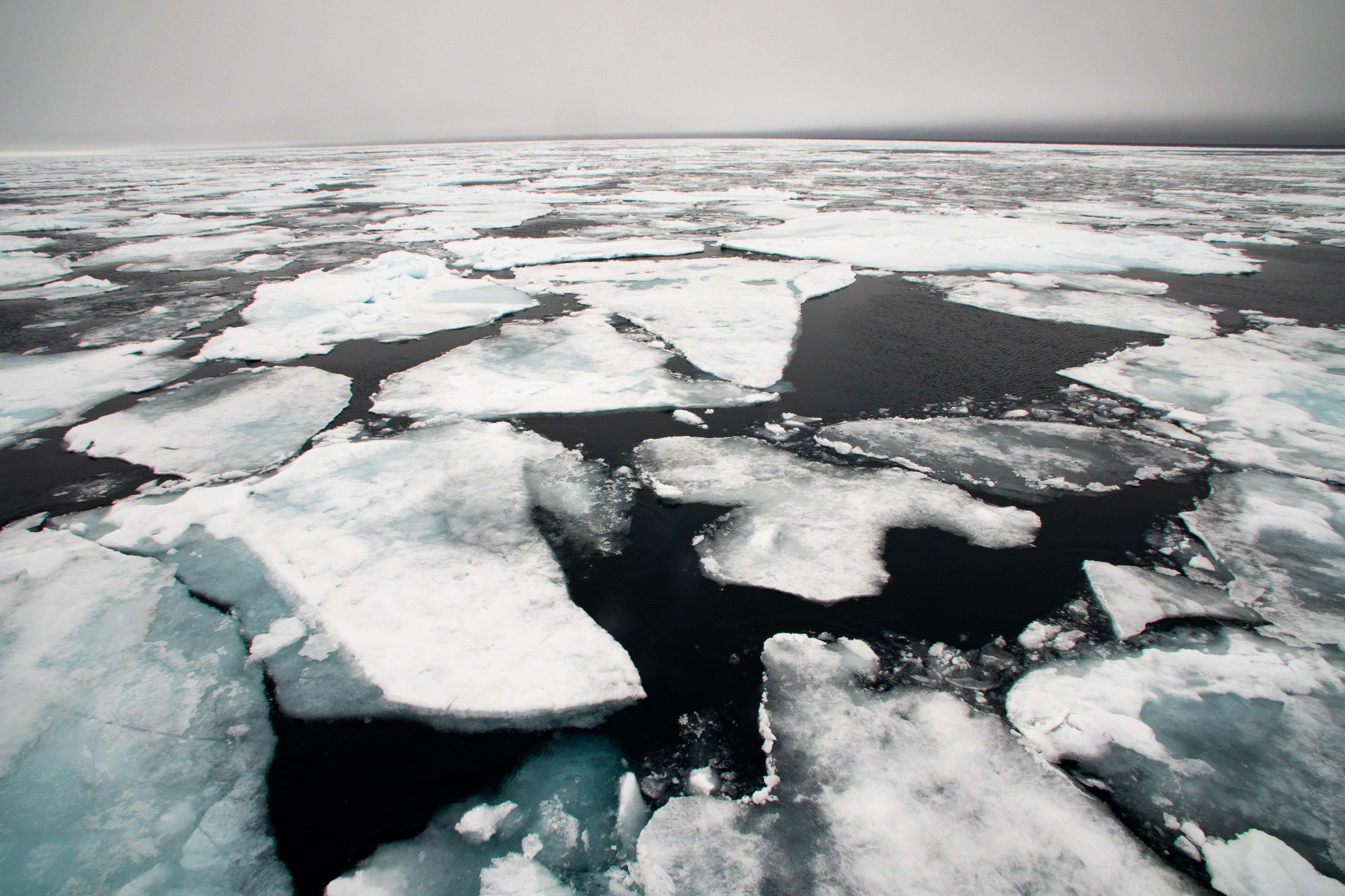 Arctic sea ice (Alamy/PA)
