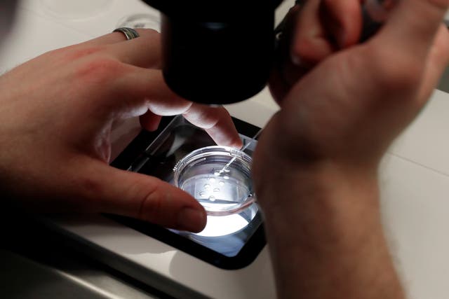 <p>Lab staff prepare small petri dishes, each holding several 1-7 day old embryos, for cells to be extracted from each embryo to test for viability at the Aspire Houston Fertility Institute in vitro fertilization lab Tuesday, Feb. 27, 2024</p>