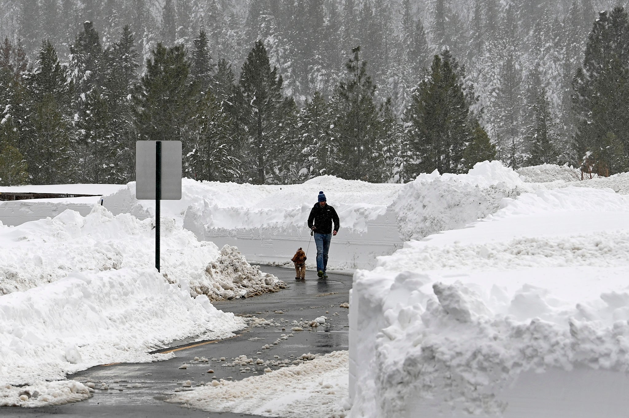 A person walks a dog in the Donner Lake neighborhood on Monday, March 4, 2024, in Truckee