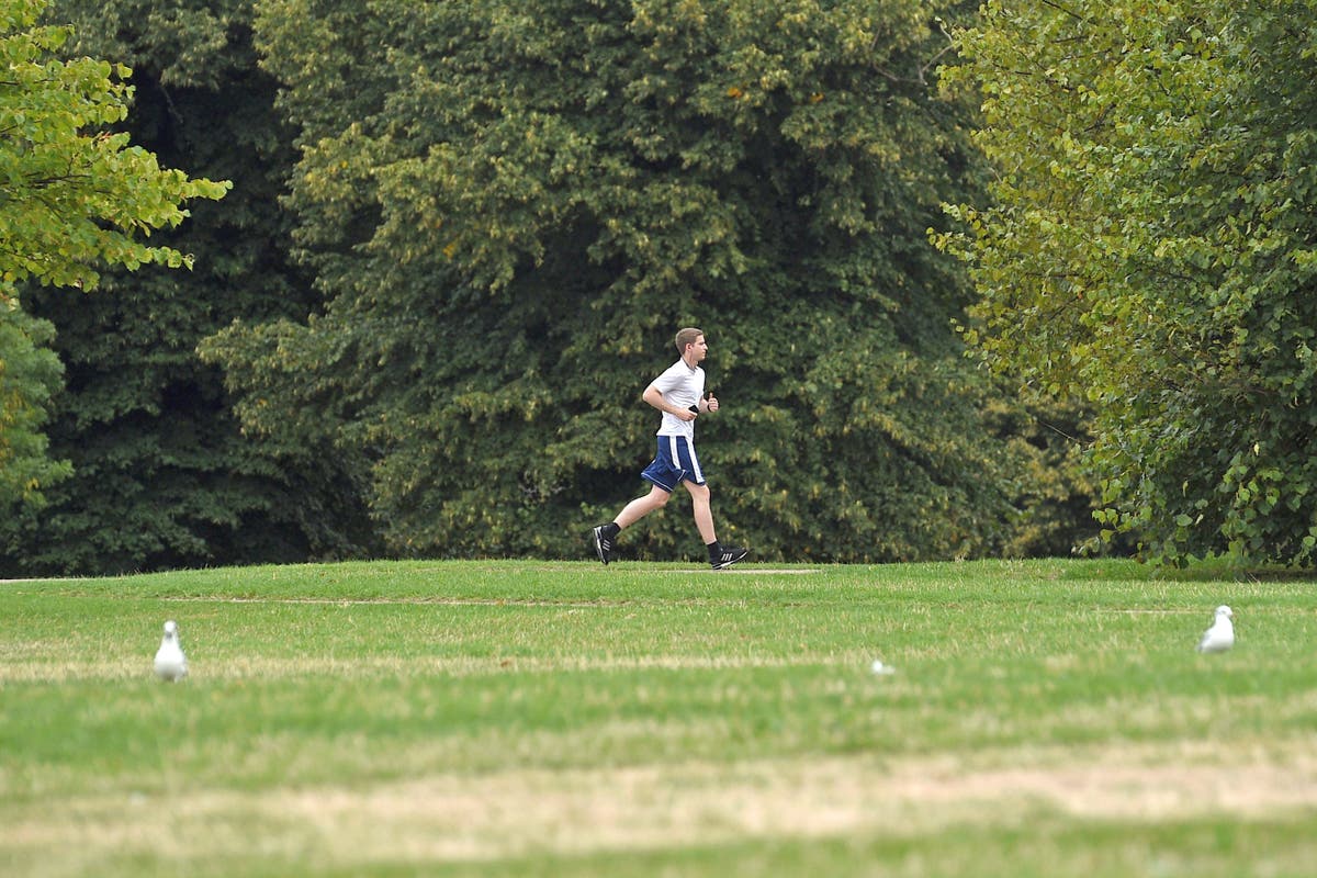 Osteoporosis risk &lsquo;smaller among people living in leafy neighbourhoods&rsquo;