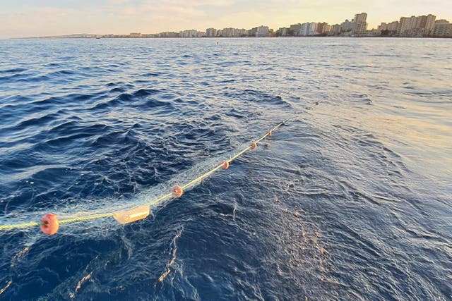 A NetLight is set off Varosha, Cyprus (Robin Snape/PA)