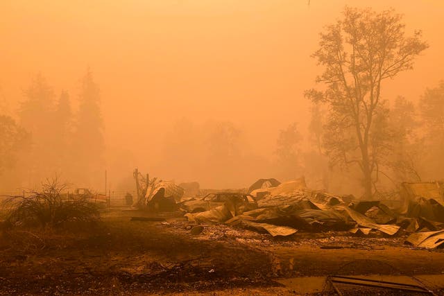 Oregon Wildfire Lawsuit