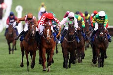 Cheltenham Festival 2024: How to watch every race online and on TV