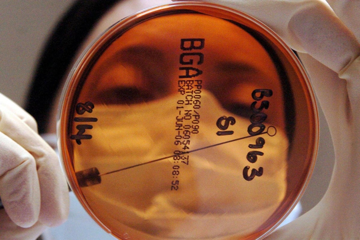 World Health Organisation identifies the likely cause of one in eight cancers worldwide