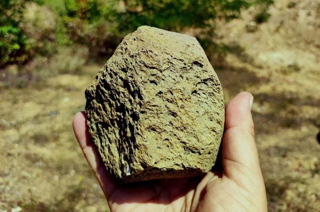 <p>Stone tool found in Ukraine archaeological site Korolevo</p>