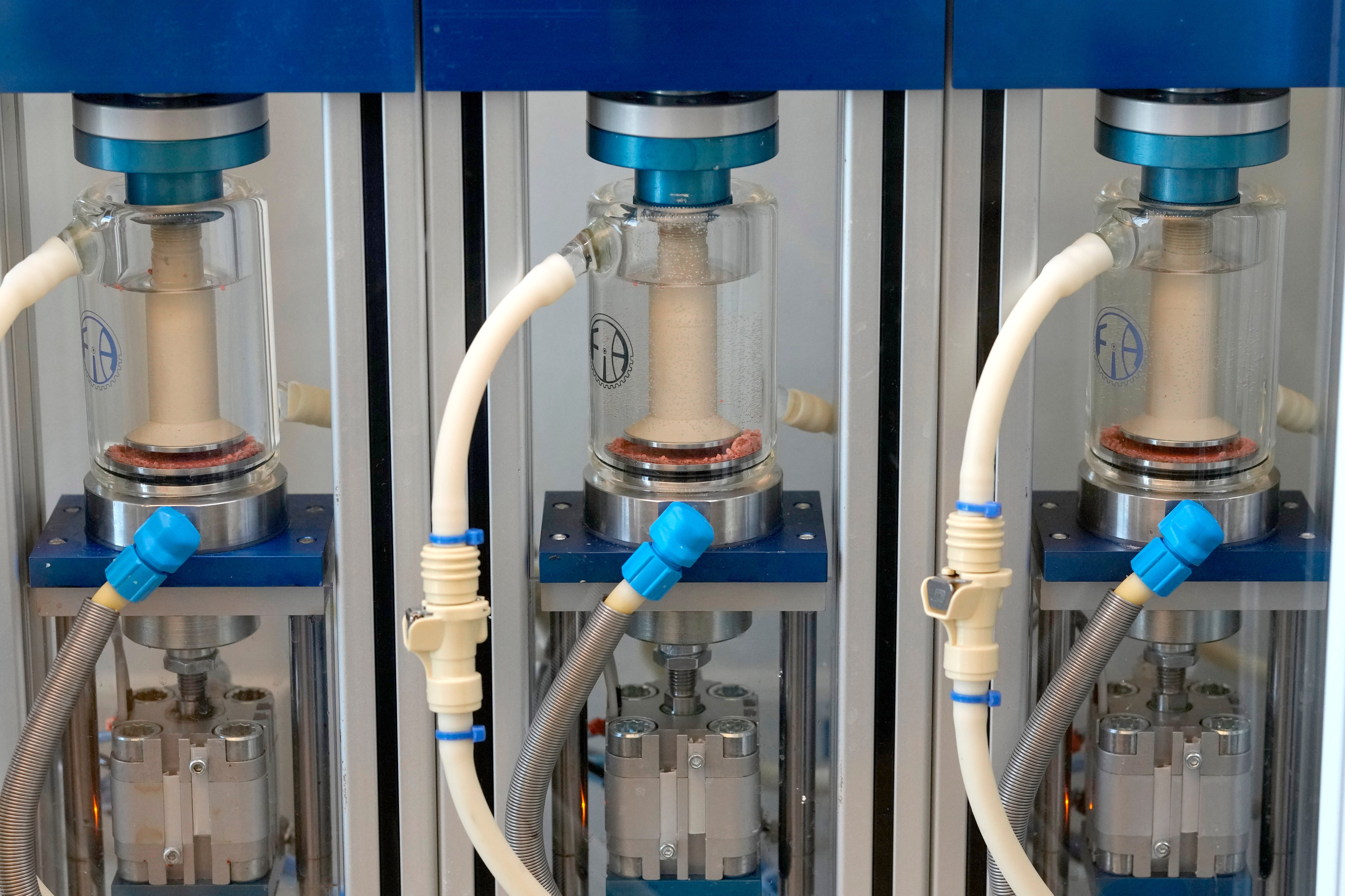 Gum Refreshing Sales