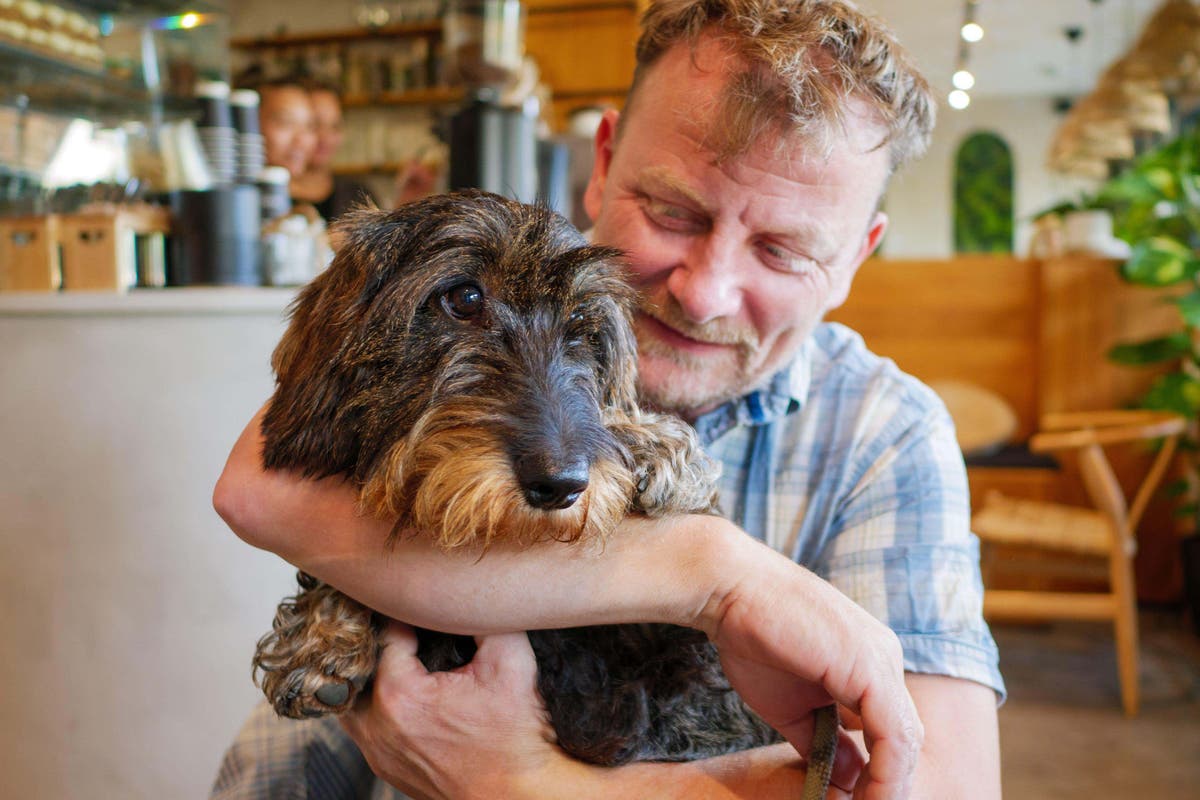 Dog thefts on the rise &ndash; how to prevent your pooch being pinched