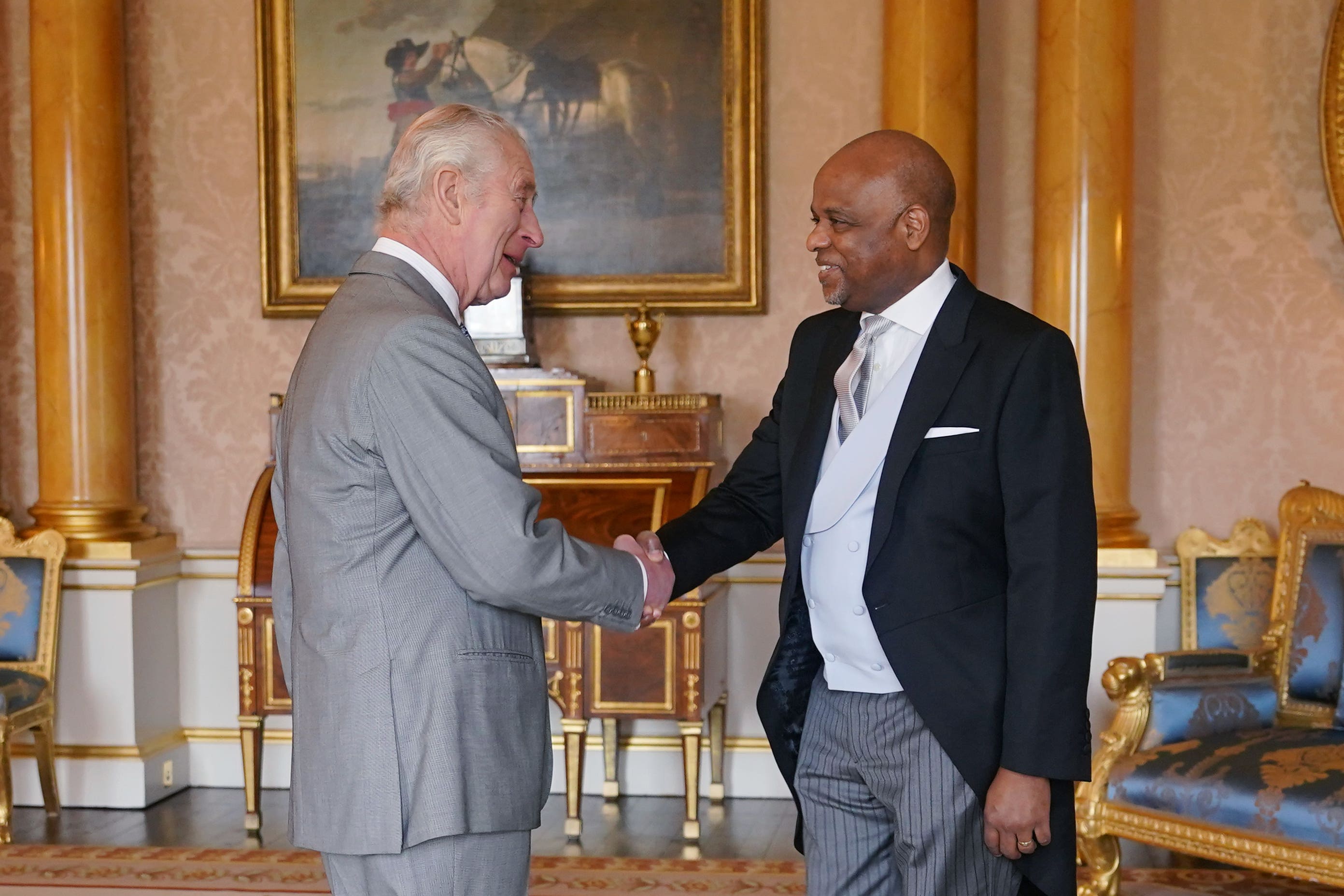 The King held an audience with Alexander Williams, the High Commissioner of Jamaica, at Buckingham Palace (Yui Mok/PA)