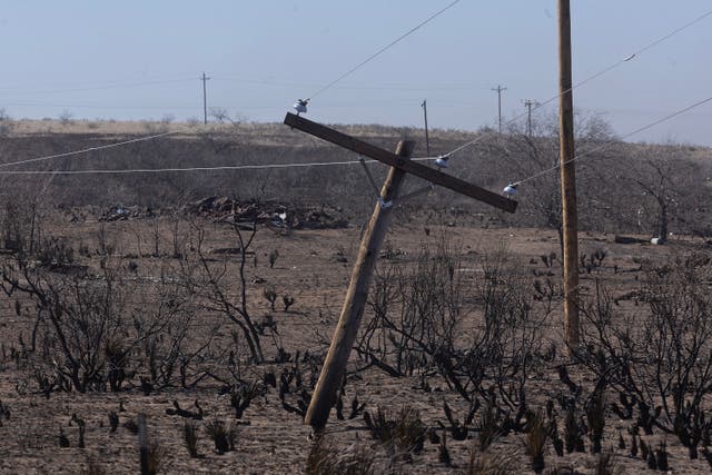 <p>A power pole dangles in the air after the base was burned away when the Smokehouse Creek fire passed through the area on 2 March 2024 near Stinnett, Texas</p>