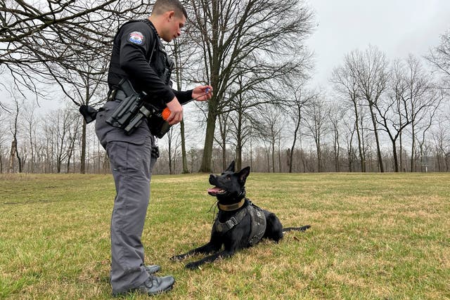 Cannabis Sniffing Police Dogs Ohio