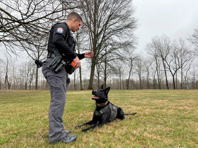 Cannabis Sniffing Police Dogs Ohio