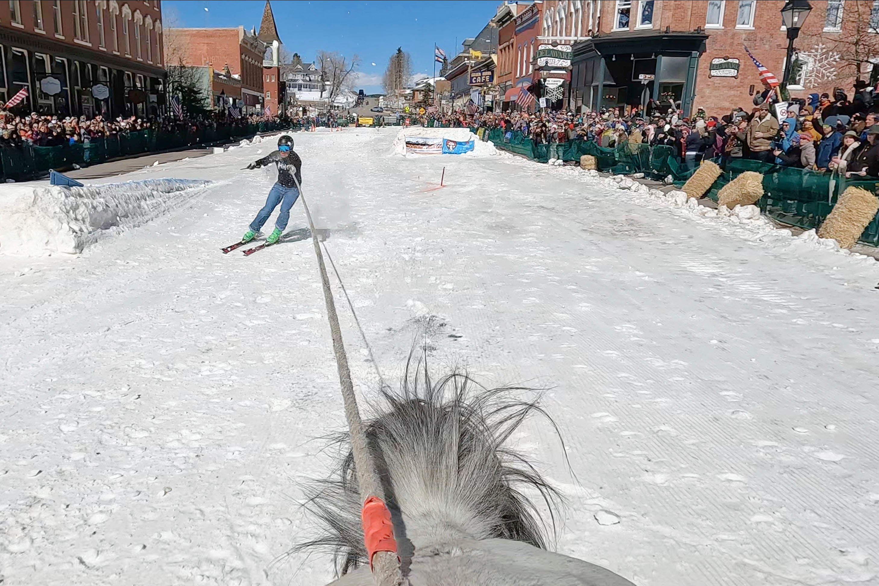 Skijoring