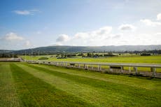 Cheltenham Festival 2024 travel guide