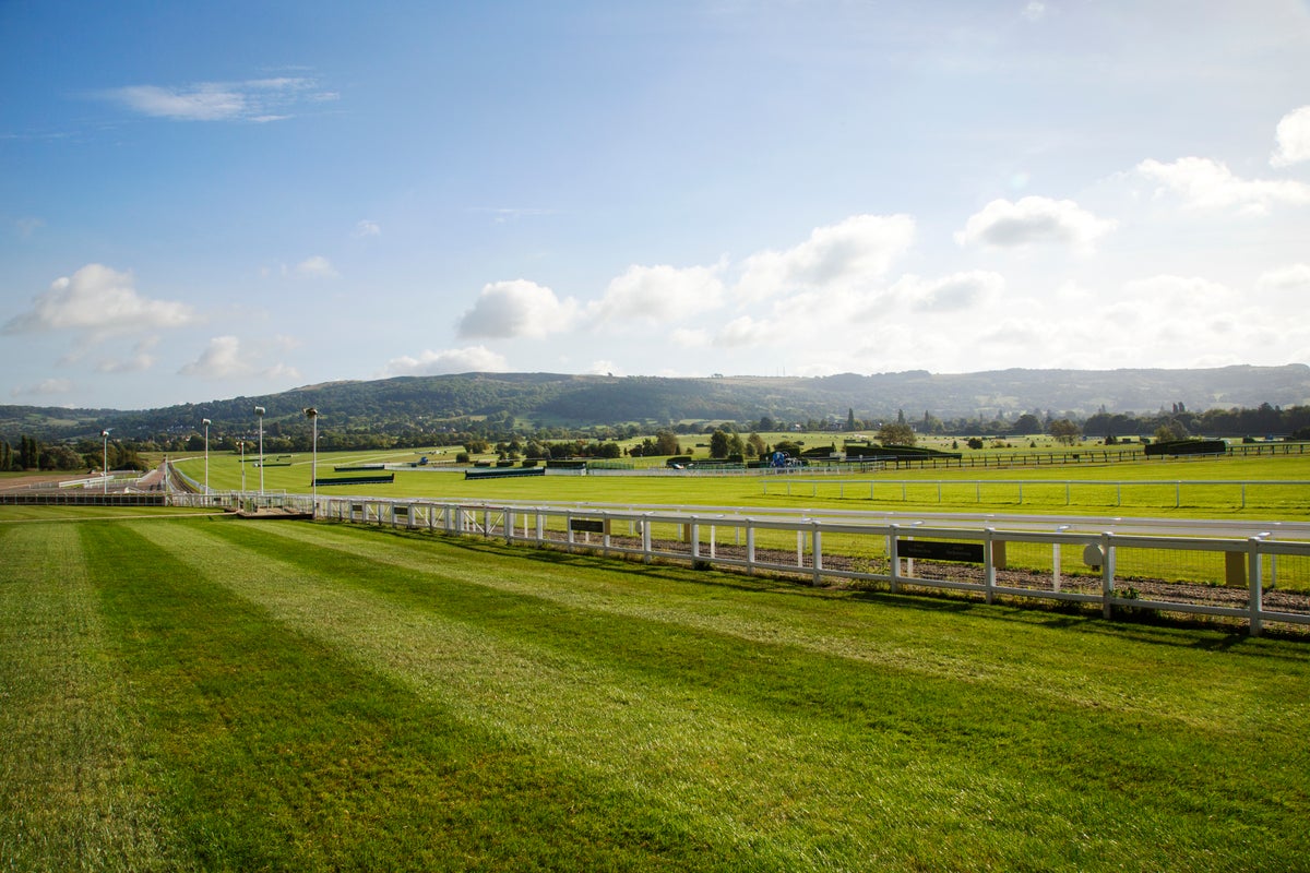 Cheltenham Festival 2024 travel guide – what to do, where to stay and how to get there