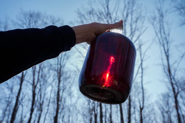 Climate Maple Syrup