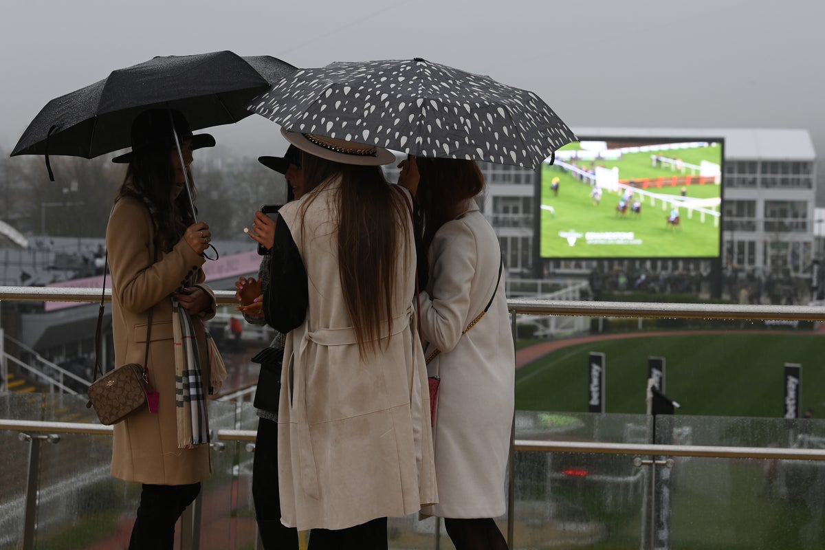 Cheltenham Festival weather: Latest forecast ahead of racing including Gold Cup Friday