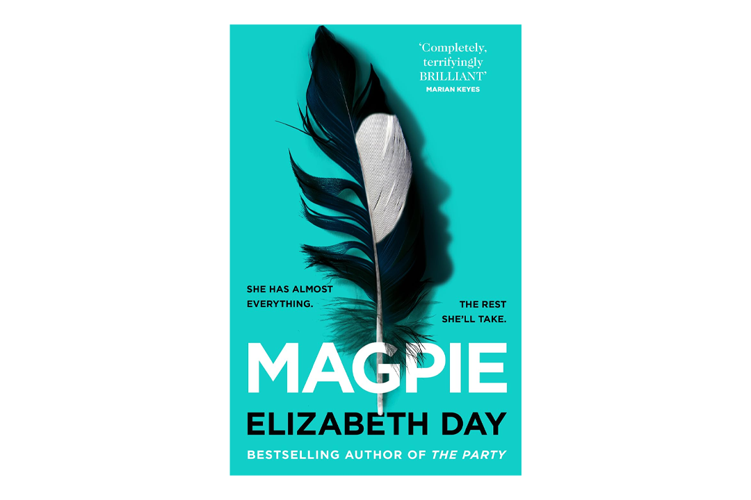 Magpie book cover by Elizabeth Day