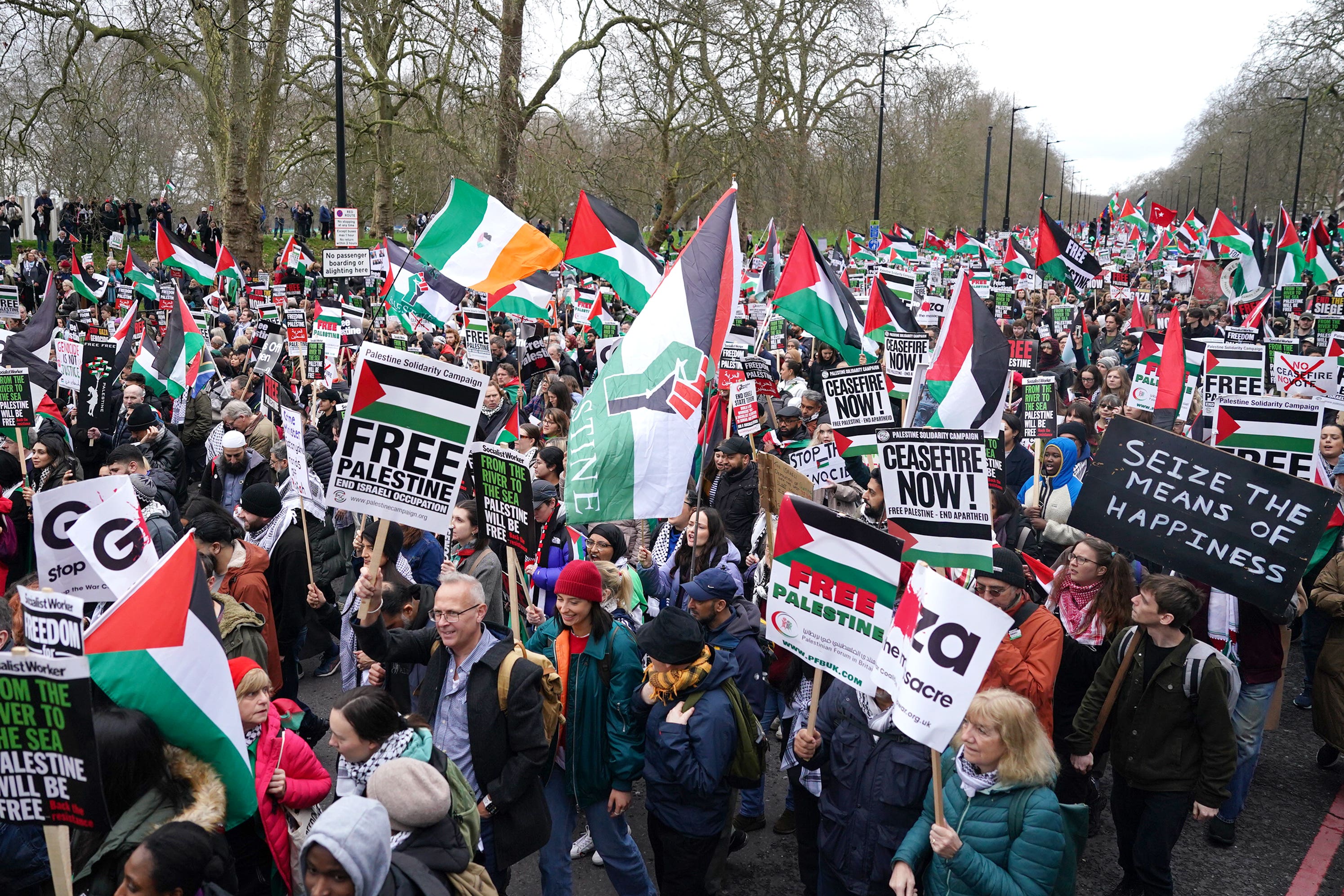 People take part in a pro-Palestine march in central London, organised by the Palestine Solidarity Campaign (Jordan Pettitt/PA)