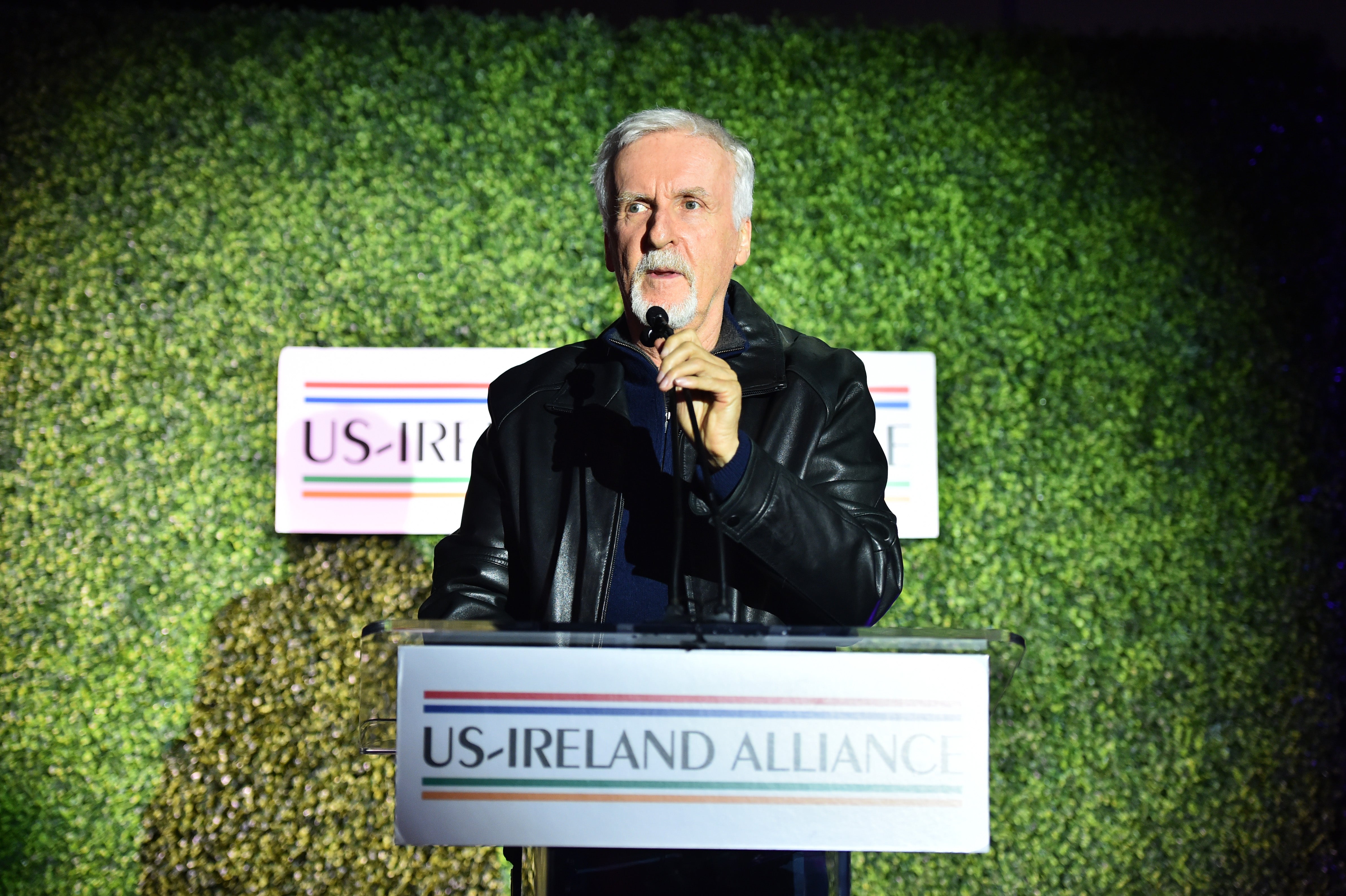 Director James Cameron, while introducing Avatar VFX expert Richie Baneham, mentioned the Dubliner’s three boys and family – a sense of community imbued the Irish awards, with the indigenous and expat industry celebrating one year after record nominations