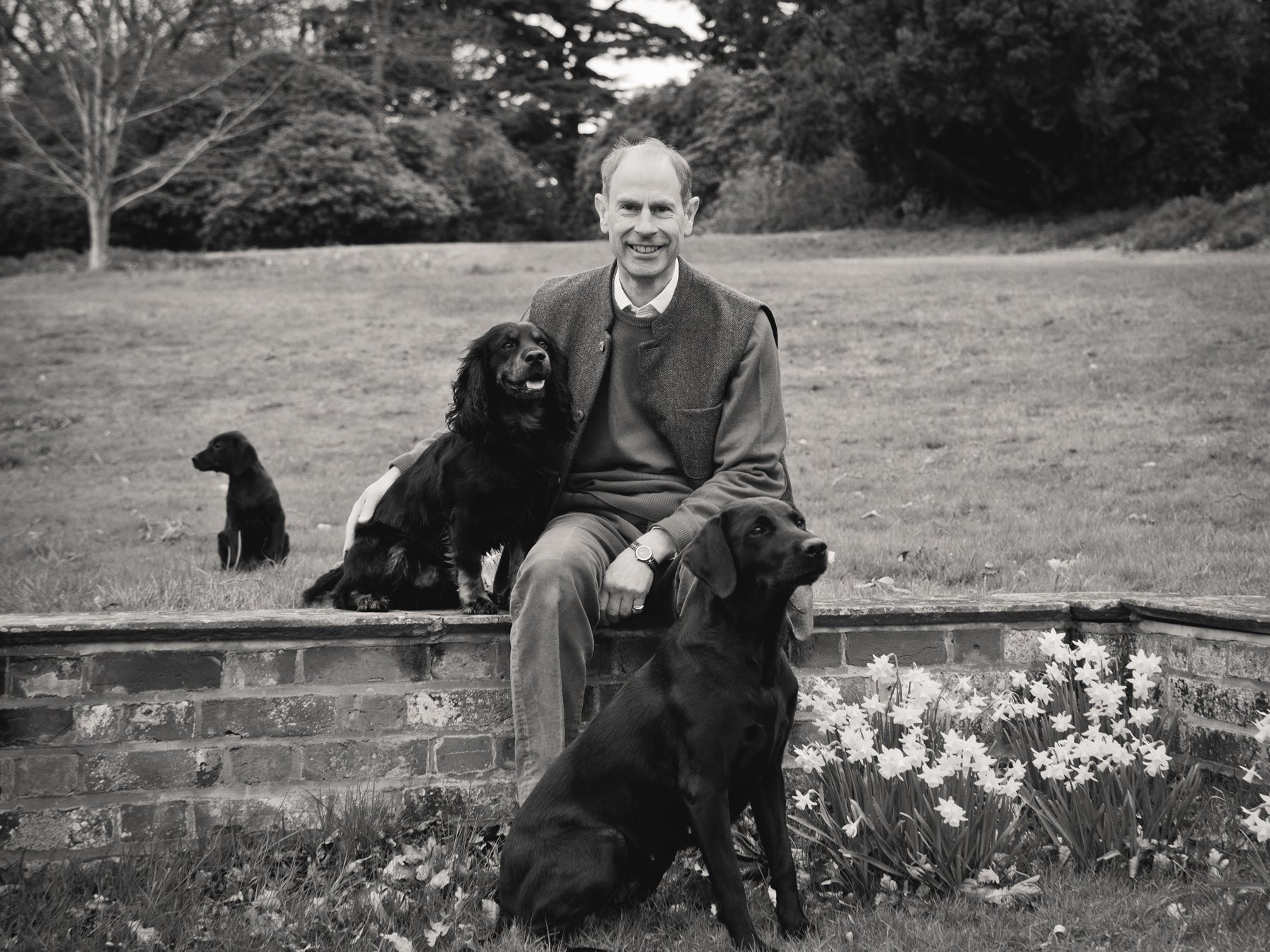 Duke of Edinburgh with Teal (labrador), Mole (cocker spaniel), and Teasel (labrador puppy)