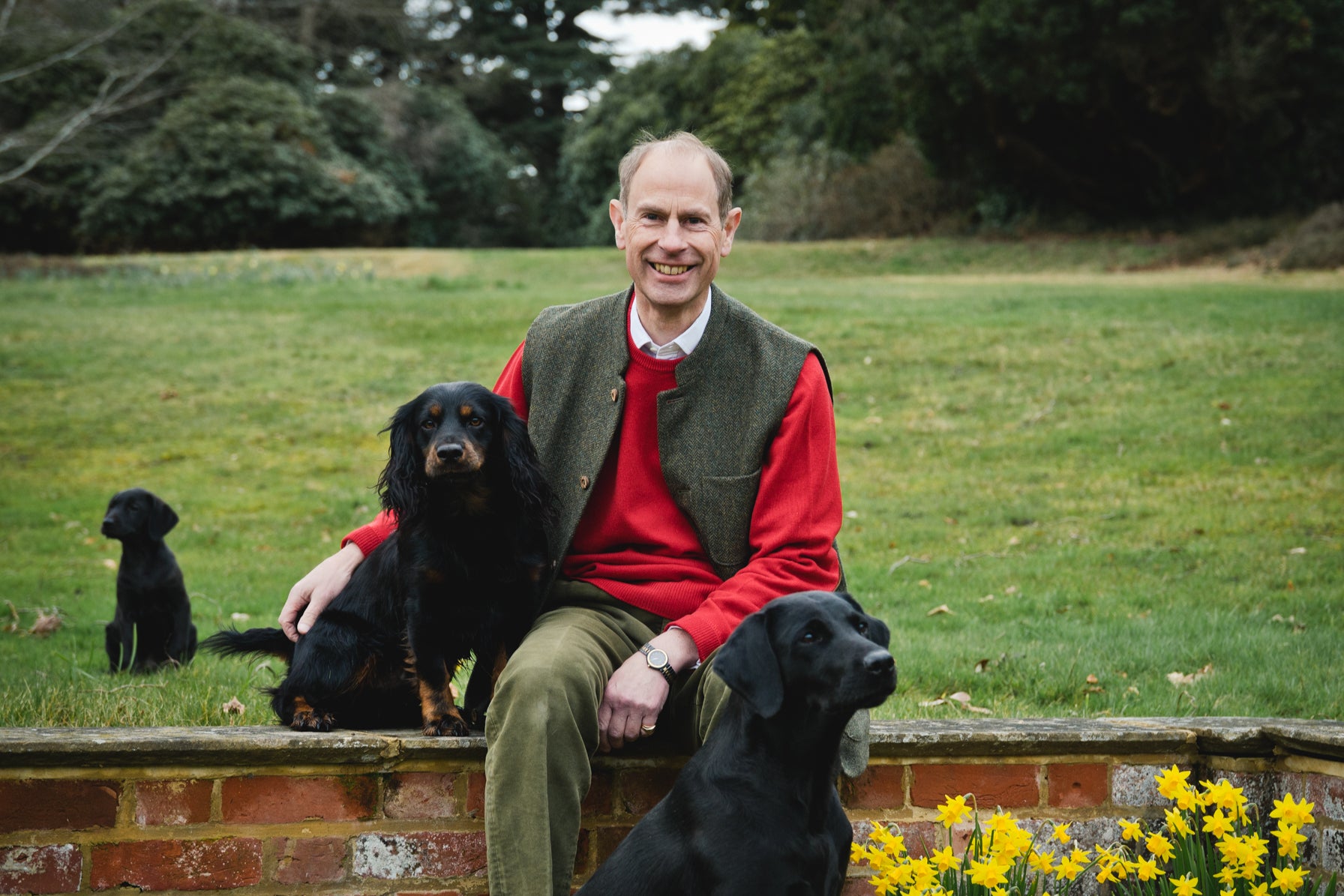 Duke of Edinburgh with his dogs Teal (labrador), Mole (cocker spaniel), and Teasel (labrador puppy)