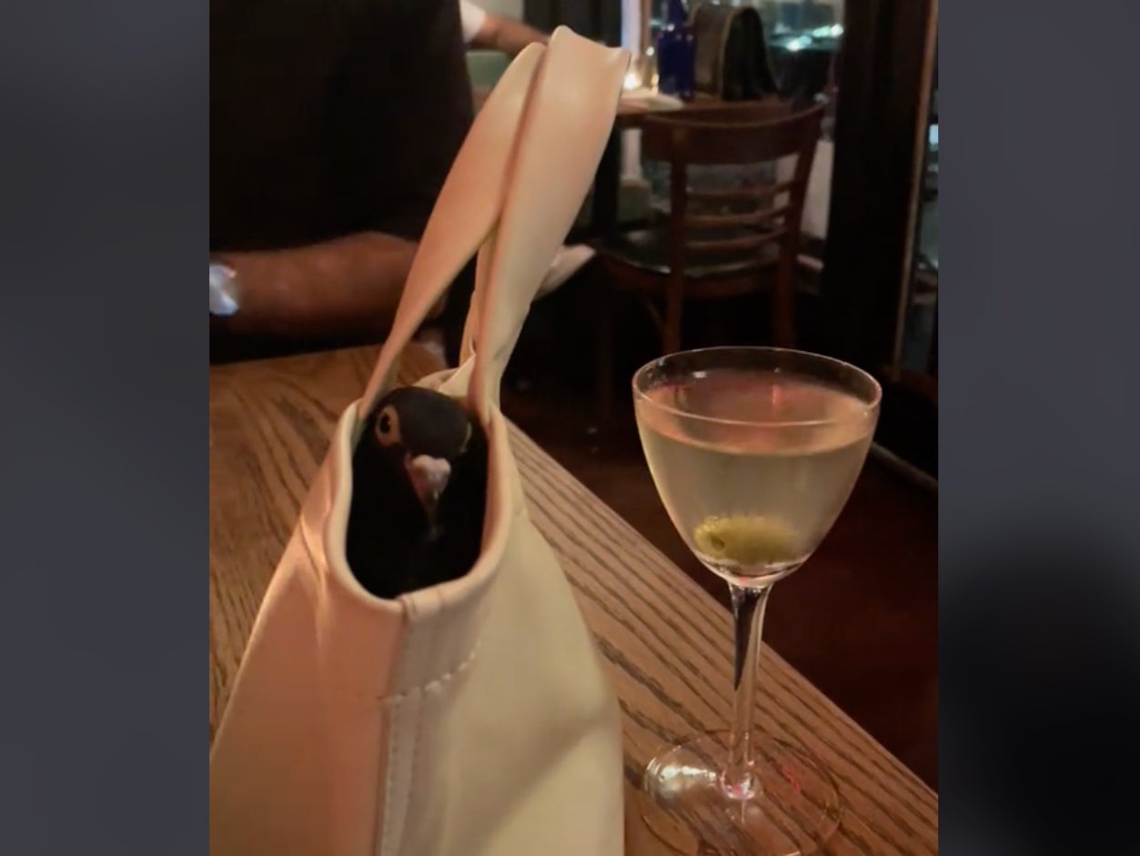 <p>@abby_nyc_ on TikTok</p>