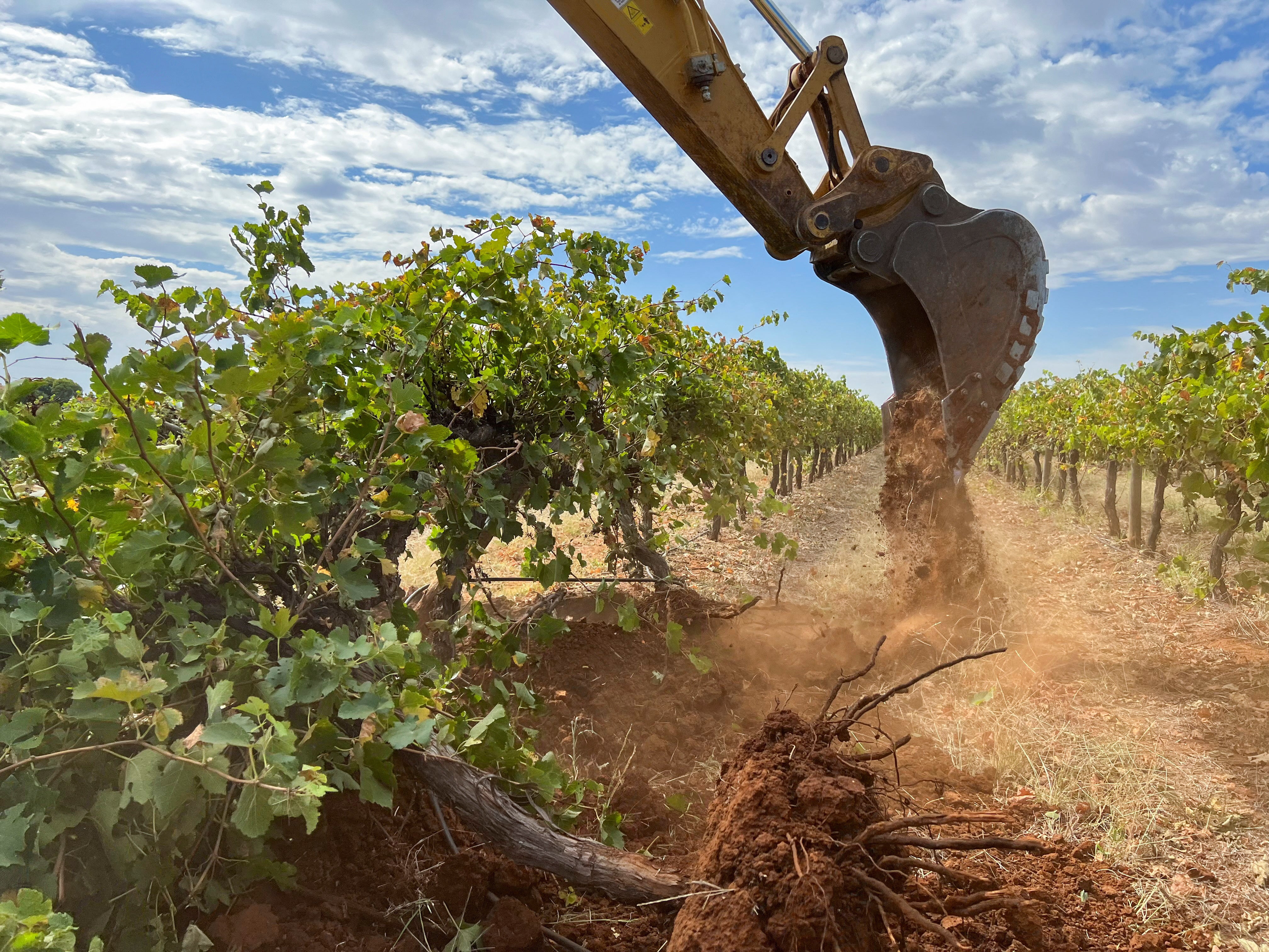 An excavator digs up vines near the town of Griffith in southeast Australia February 27