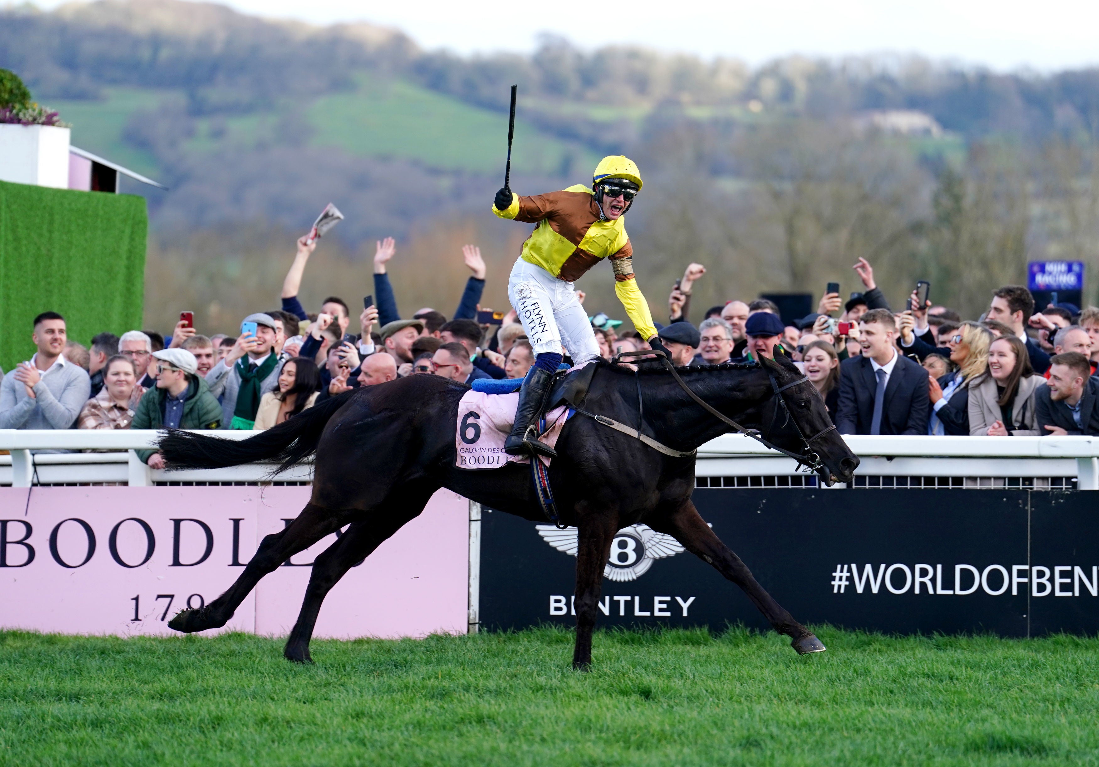 Jockey Paul Towend and Galopin des Champs win the 2023 Cheltenham Gold Cup