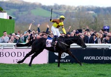 How the Cheltenham Festival provides the finest climax to the jump racing season