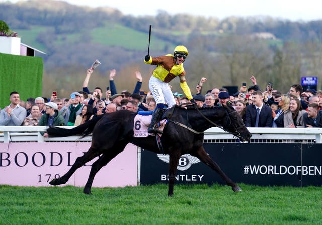 <p>Jockey Paul Towend and Galopin des Champs win the 2023 Cheltenham Gold Cup</p>