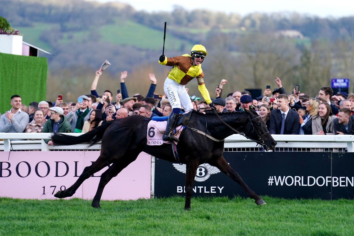 Tjc Cheltenham Races How the Cheltenham Festival provides the finest climax to the jump ...