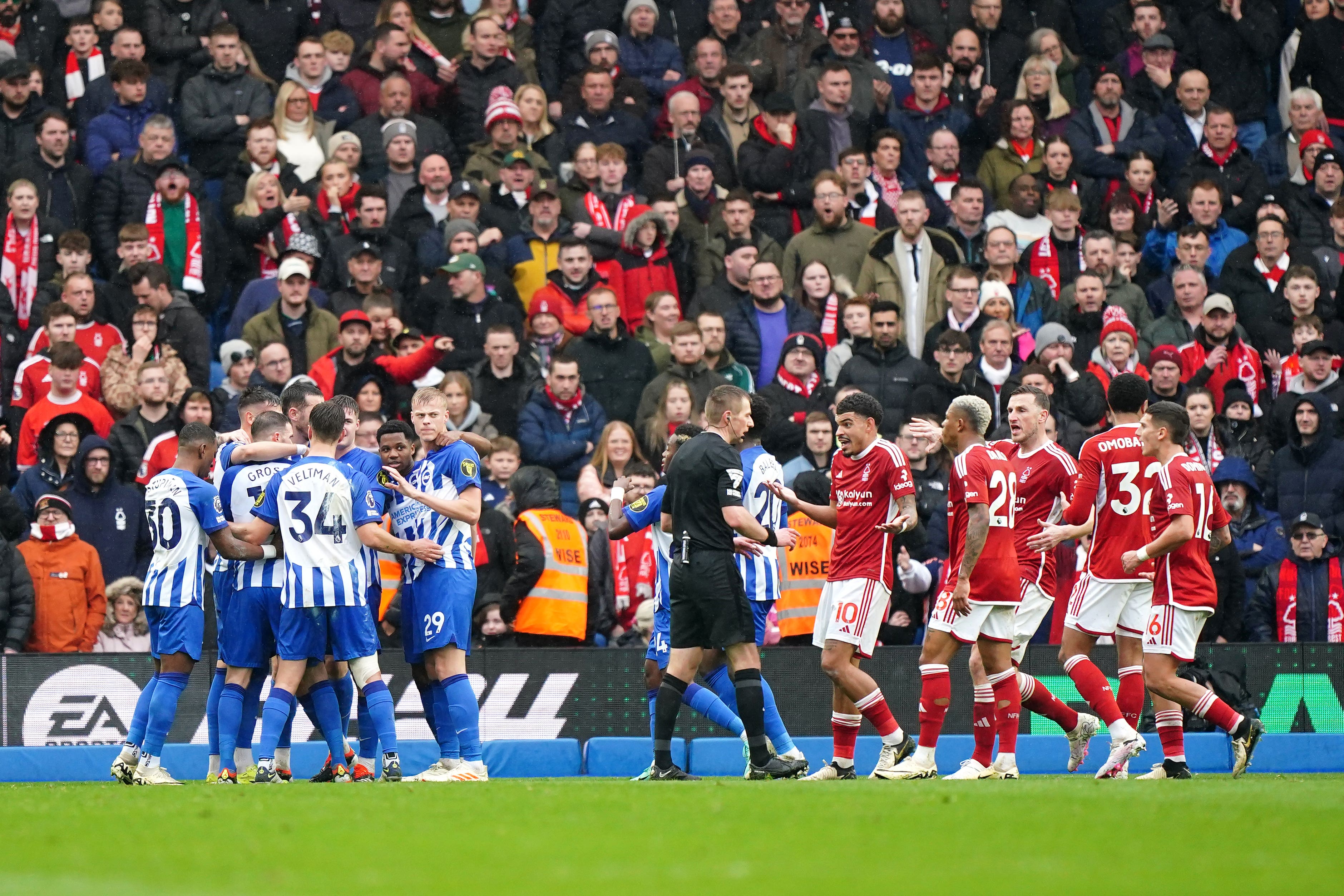 Brighton players celebrate after Andrew Omobamidele’s own goal (Zac Goodwin/PA)