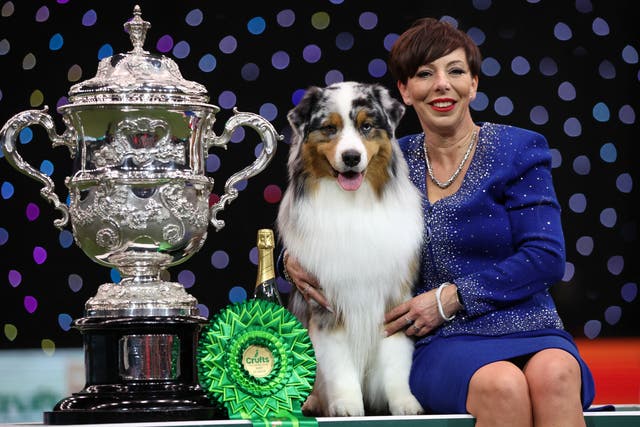 <p>Handler Melanie Raymond and Australian Shepherd named Viking celebrate after winning the best in show on the final day of the Crufts Dog Show</p>