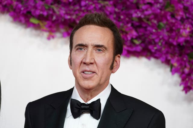<p>Nicolas Cage at the 2024 Oscars </p>