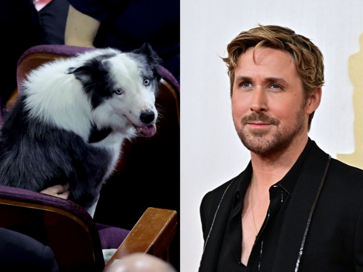 Ryan Gosling goes viral for hilarious reaction to Anatomy of The Fall dog clapping at Oscars