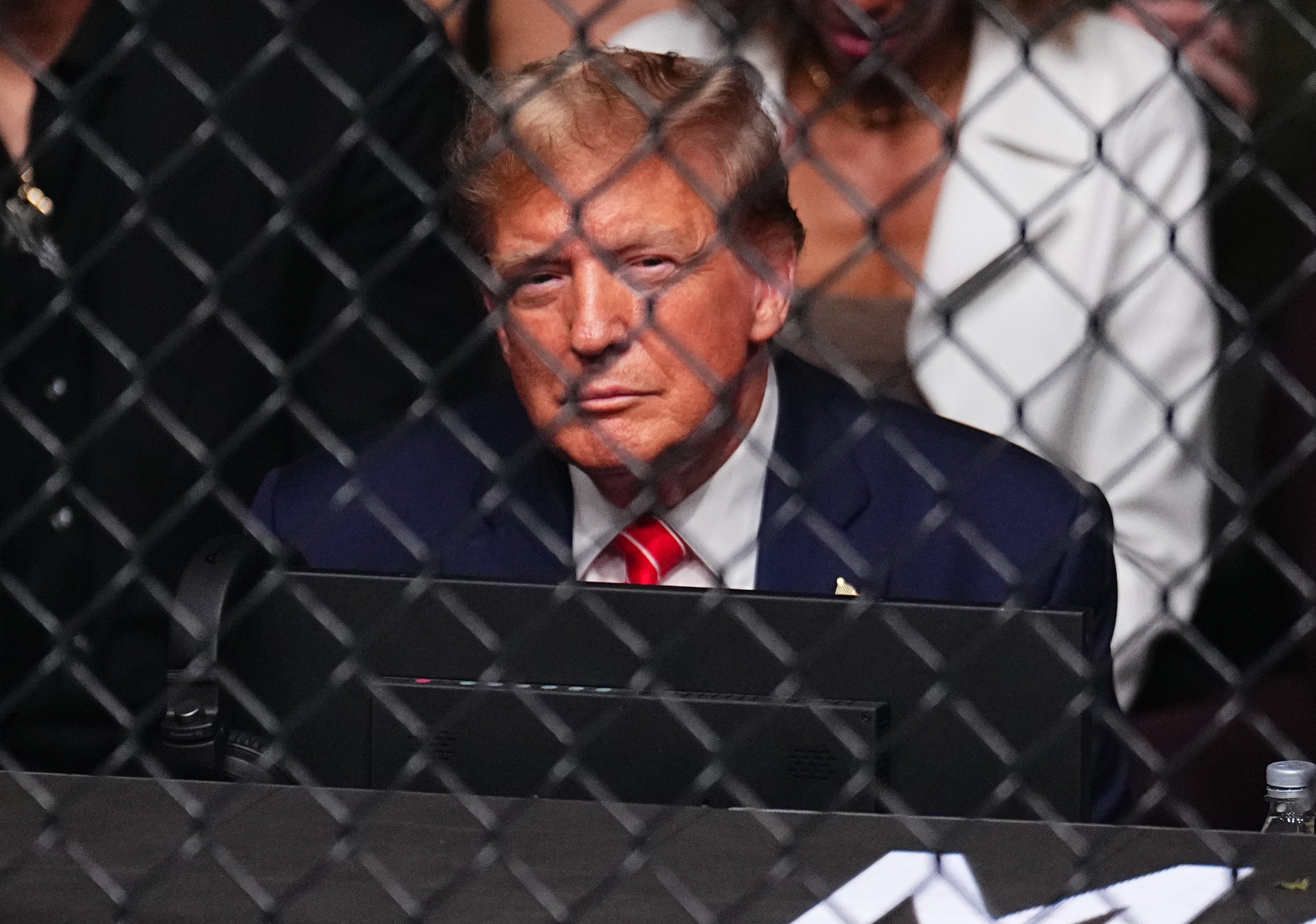 Donald Trump attended the UFC fights on Saturday