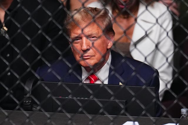 <p>Donald Trump, pictured at UFC 299 in March, was present at UFC 302 on Saturday </p>