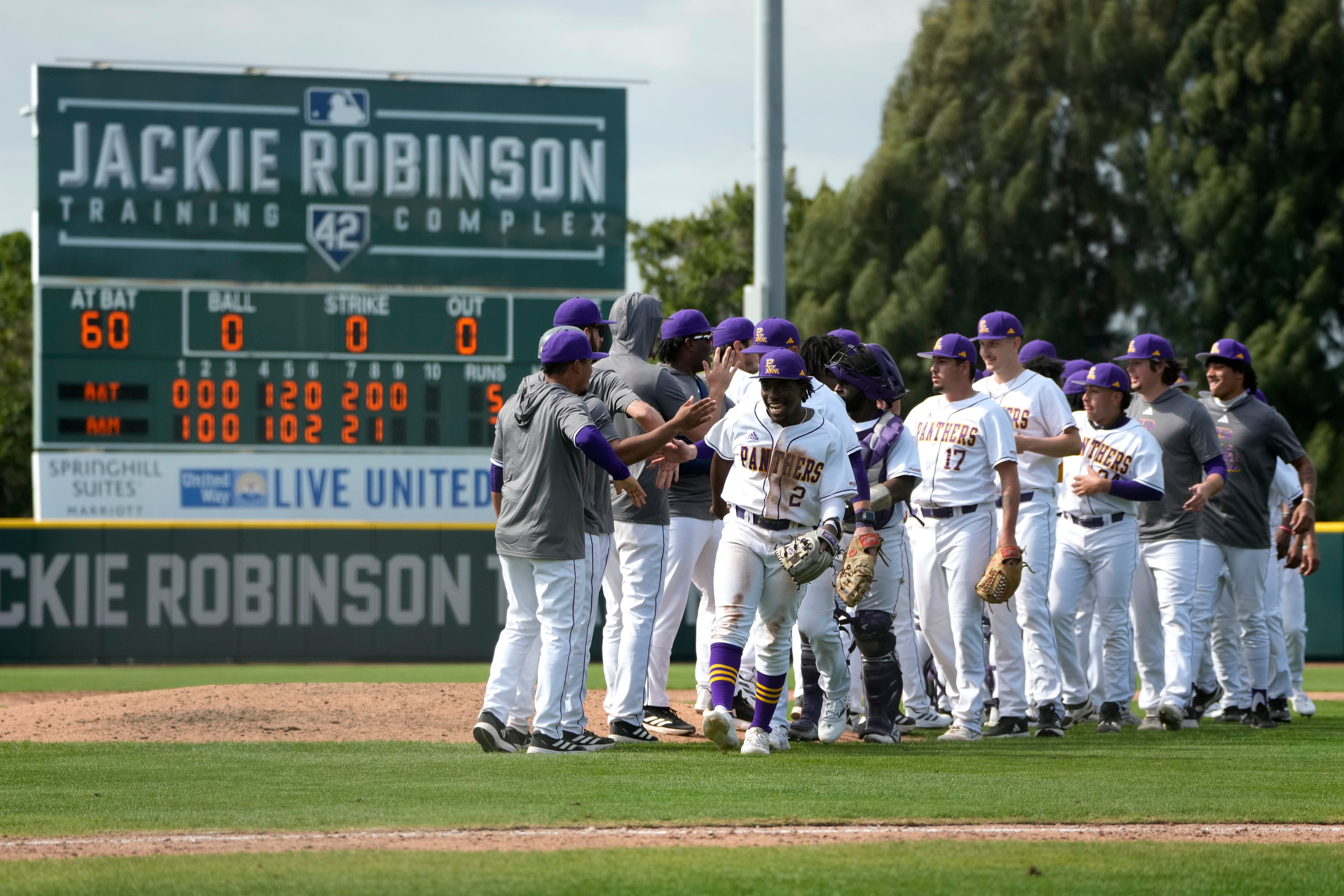 MLB Diversity Baseball