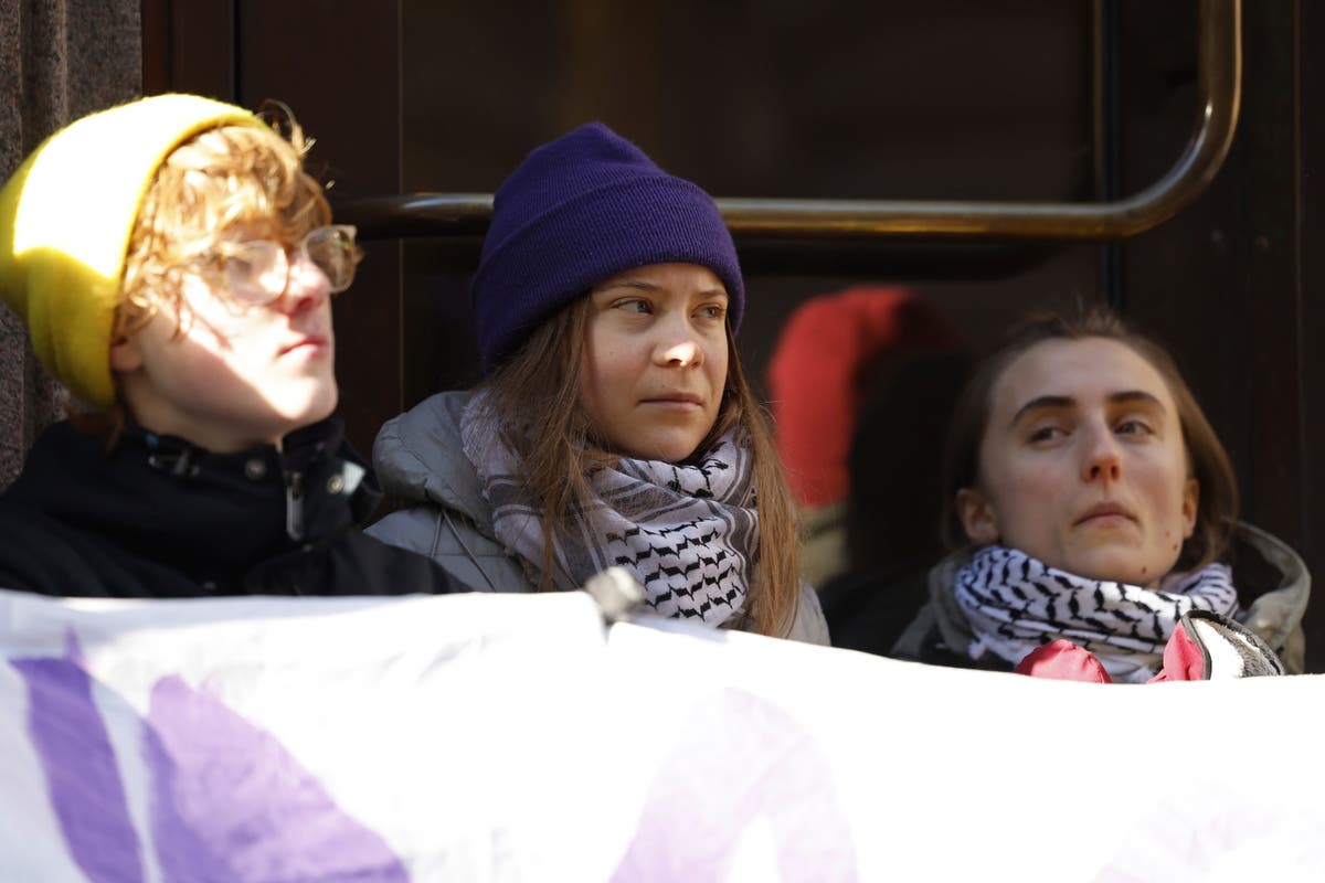 Climate activists including Greta Thunberg block entrance to the Swedish parliament