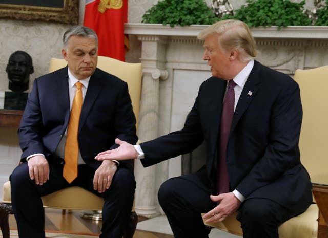 <p>File: Former US president Donald Trump shakes hands with Hungarian prime minister Viktor Orban</p>
