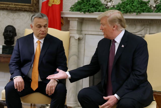 <p>File: Former US president Donald Trump shakes hands with Hungarian prime minister Viktor Orban</p>