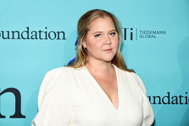 <p>Amy Schumer reveals she bronzed her uterus after it was removed</p>