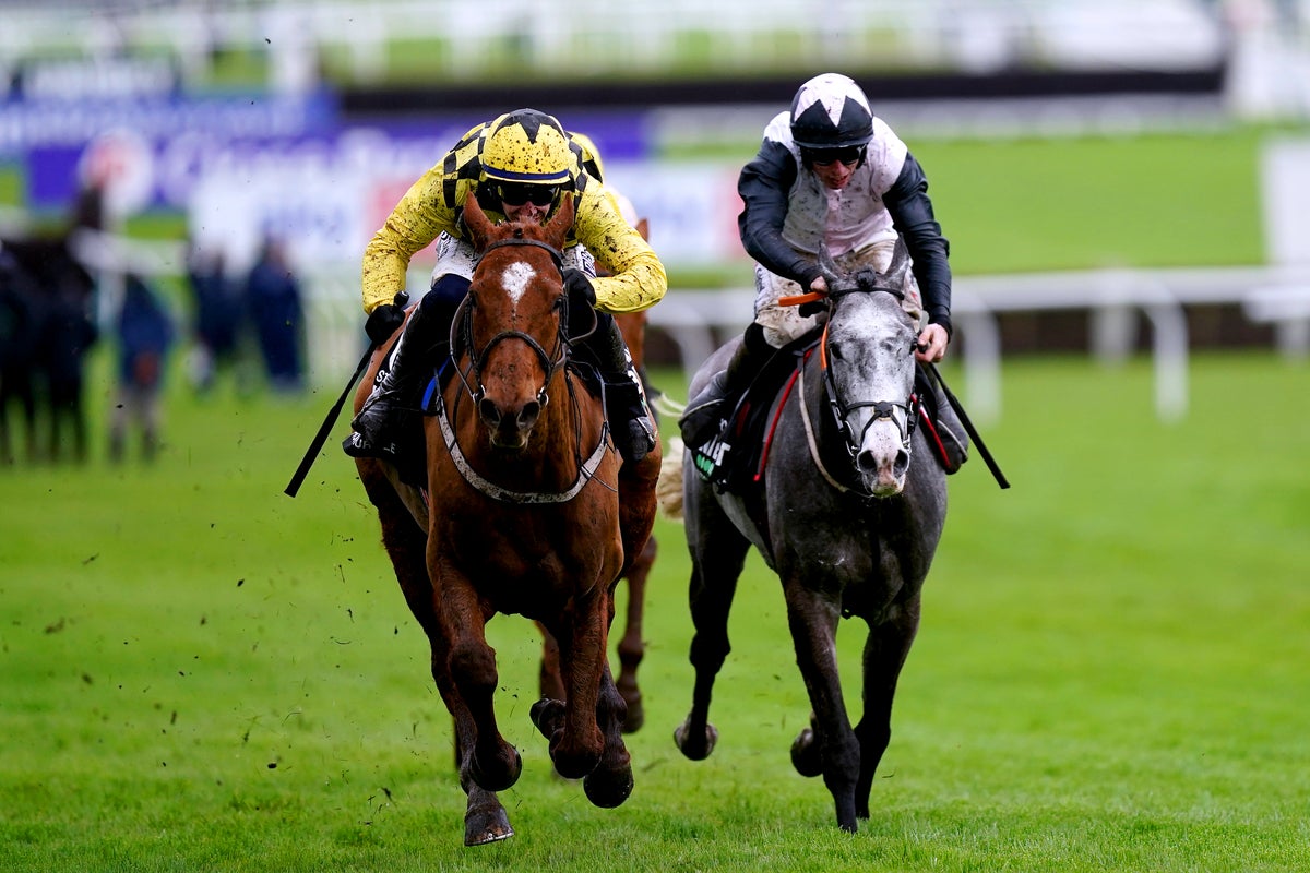 Cheltenham Festival: Full list of winners, results, timings and runners for Day 2