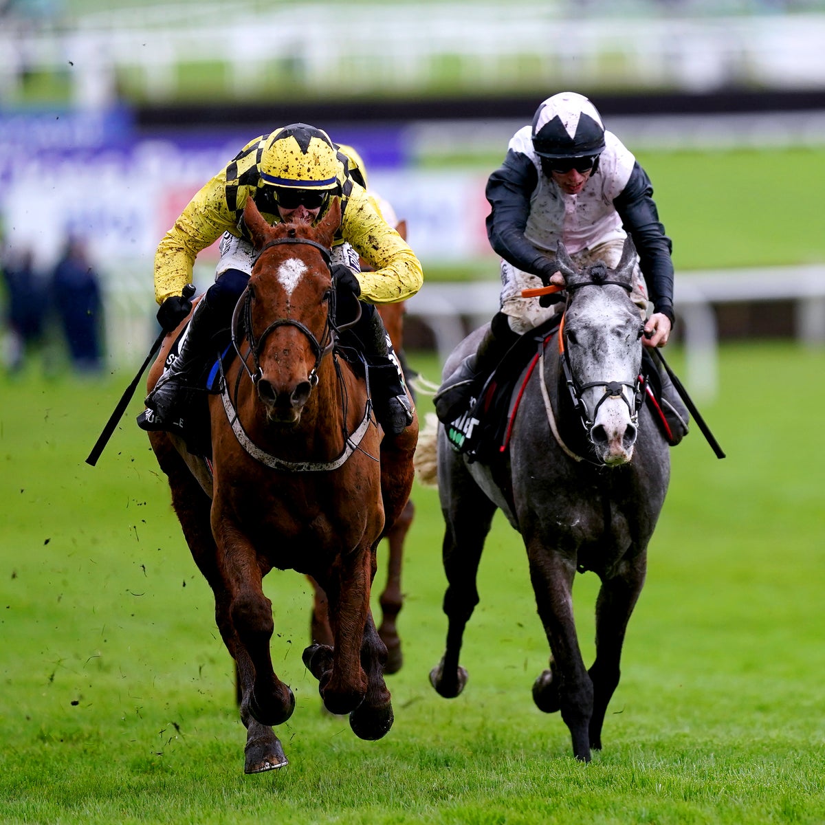 Cheltenham Festival 2024 race card, dates, start times and full four-day schedule | The Independent