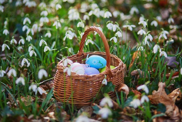 <p>Get ready to fill your basket with some egg-cellent chocolate offerings  </p>