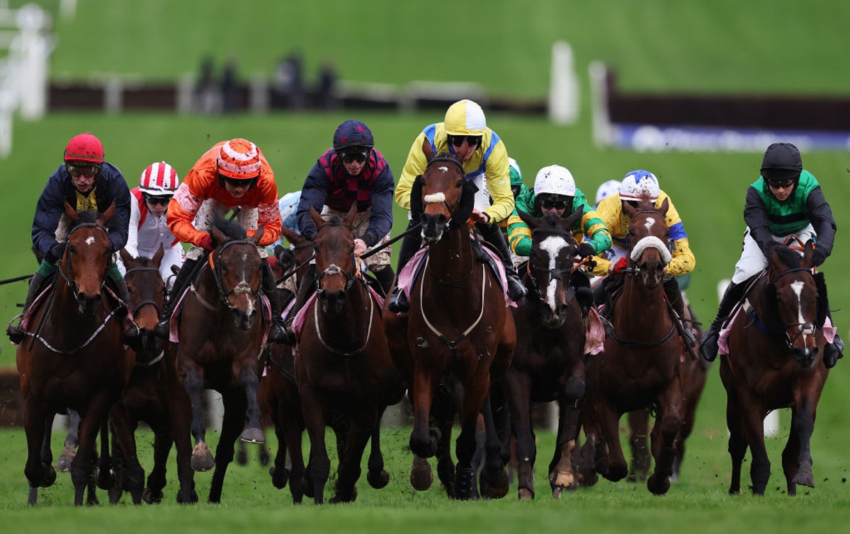 Cheltenham Festival tips: Experts on best bets and 12 horses to watch today