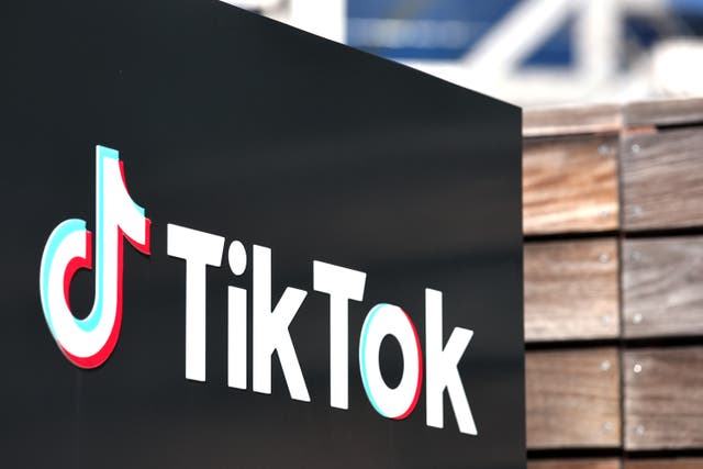 <p>Bipartisan legislation from the House of Representatives would force TikTok to sell off a controlling share or face removal from US app stores</p>