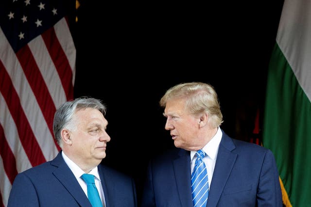 <p>Donald Trump and Viktor Orbán pictured together meeting in March 2024</p>