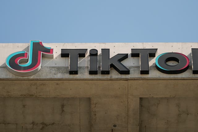 <p>TikTok could face removal from US app stores thanks to new legislation </p>